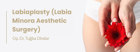 Labiaplasty (Labia Minora Aesthetic Surgery)