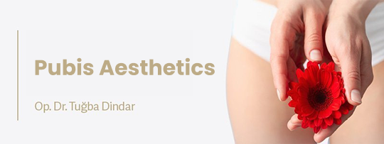 Pubis Aesthetics